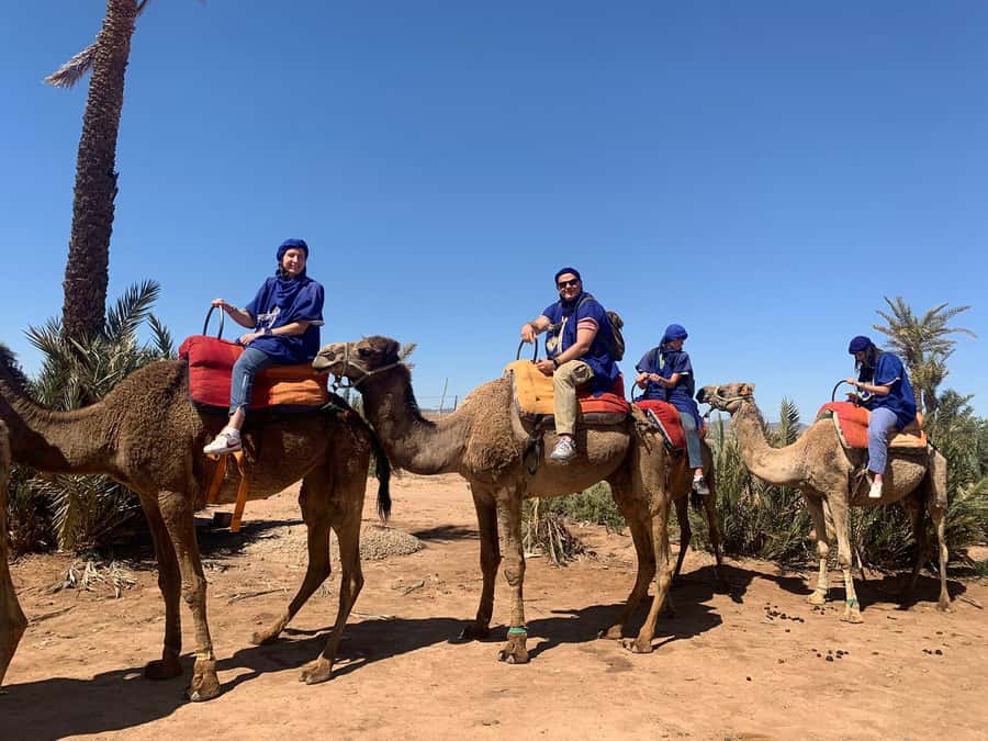 Marrakech: Guided Quad Bike and Camel Ride Tour with Tea - Two hours on the quads: dunes, palm groves, and smart stops