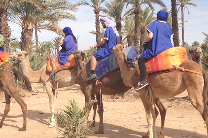 Marrakech: Half-Day Camel Ride in Palm Grove - What to expect at the end: tea, letting go of the reins, and getting back