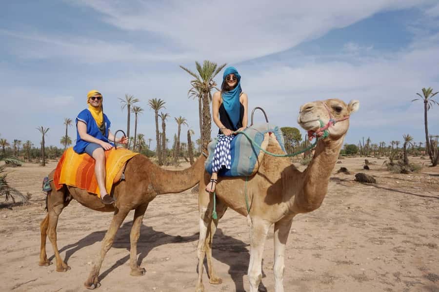Marrakech: Half-Day Camel Ride in Palm Grove - Practical tips that make the ride smoother