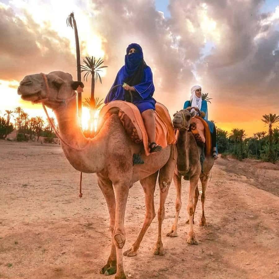 Marrakech: Half-Day Desert Quad Tour with Camel Ride - Who this tour suits best (and who should skip it)