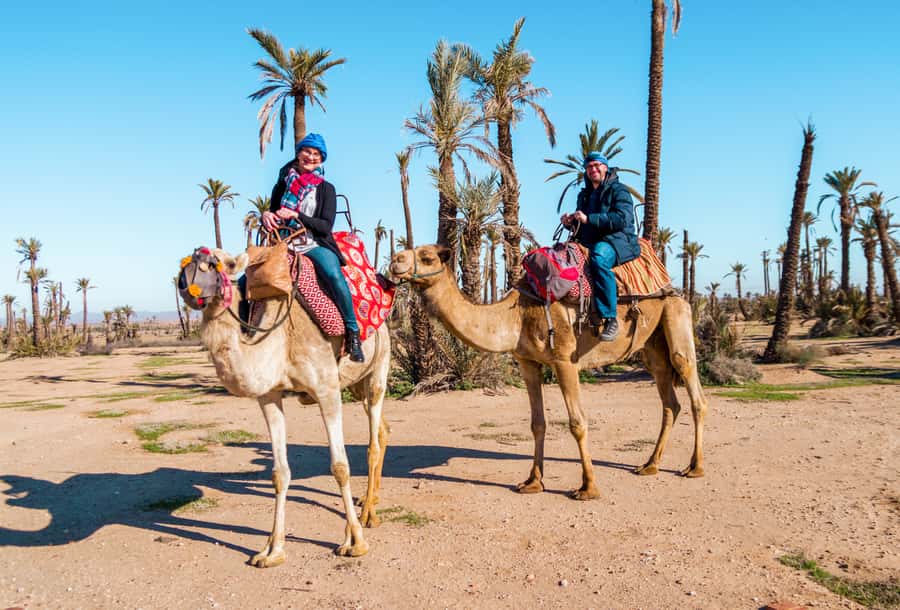 Marrakech: Half-Day Desert Quad Tour with Camel Ride - Pickup, gear, and how the day actually flows