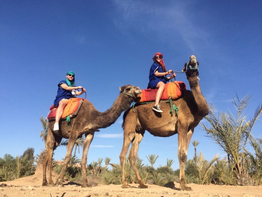 Marrakech: Majorelle Garden Entry Tickets Online - Key things to know before you go