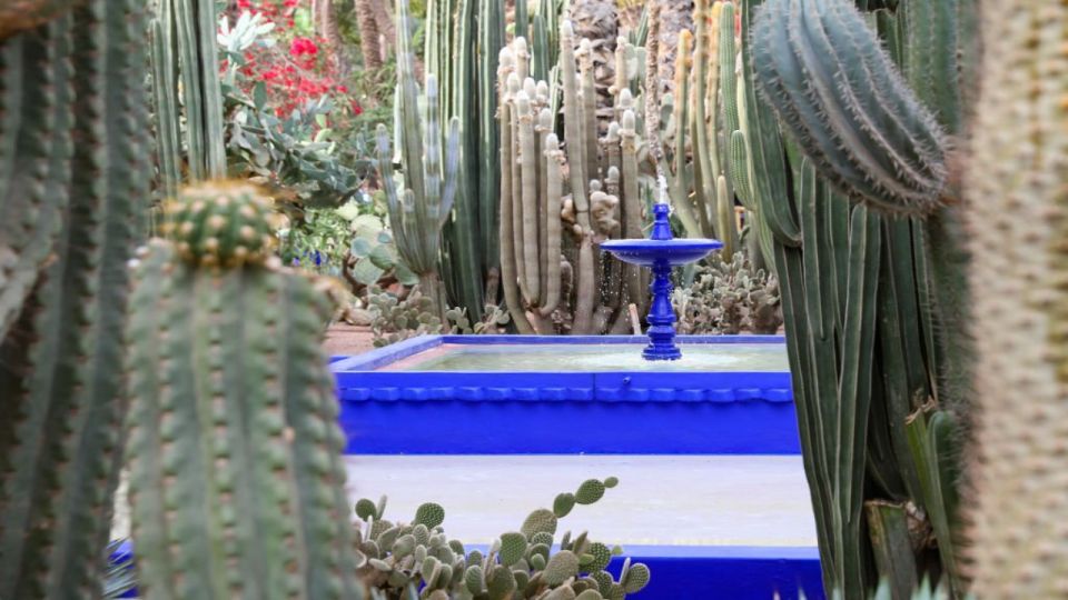 Marrakech: Majorelle Garden Entry Tickets Online - How the ticket works: don’t show the wrong confirmation