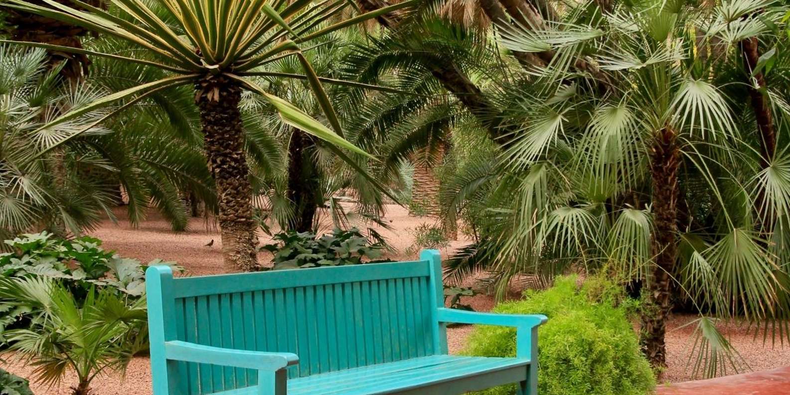 Marrakech: Majorelle Garden, YSL, and Berber Museum Entry - Price and value: is $58 really a fair deal?