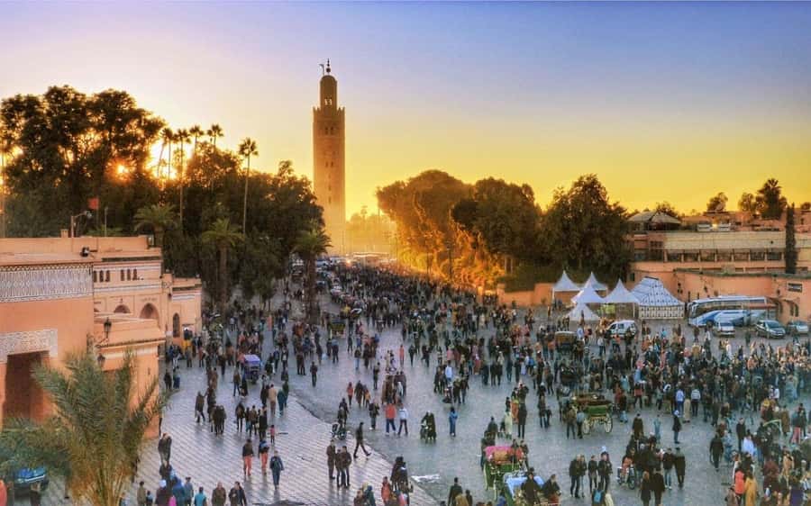 Marrakech Monuments & Souks 3-Hour Tour - Mellah and the Medina: Learning the Layout on Foot