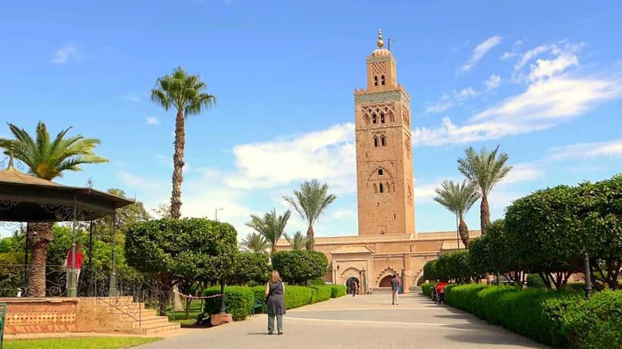 Marrakech Monuments & Souks 3-Hour Tour - Souk Market Time: Shopping, Stalls, and Negotiation Help