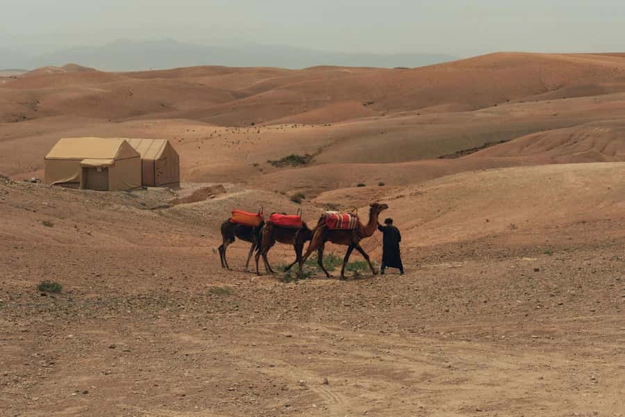 Marrakech/Ouarzazate: 2-Day Desert with Camel, 4x4 & Meals - Entering the Film-Set World of Ait Ben Haddou