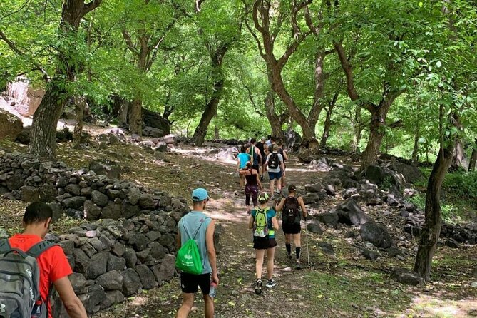 Marrakech: Ourika Valley, Atlas Mountains, Waterfalls & Lunch - Stop 3: Setti Fatma and the 7 cascades—what the waterfall hike is really like