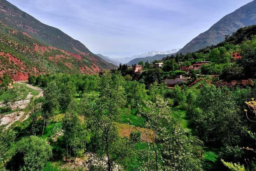 Marrakech: ourika valley lunch & guided hike to waterfalls - Guides and group size: what the experience depends on