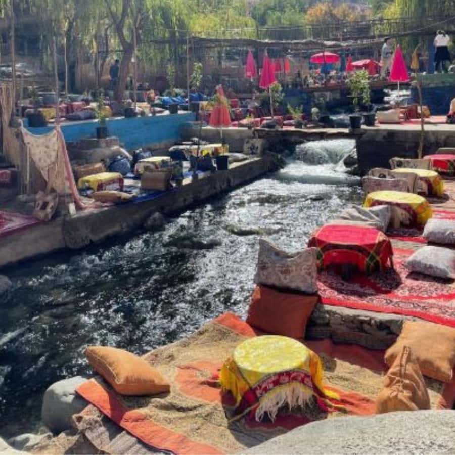 Marrakech: Ourika Valley & Waterfalls Guided Tour with Lunch - Price and Value: Why Around $14 Can Make Sense