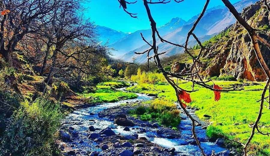 Marrakech: Ourika Valley waterfalls with guide& Berber lunch - Lunch by the river: the good part, the wait time, and drink math