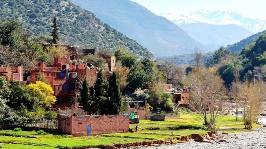 Marrakech: Ourika Valley waterfalls with guide& Berber lunch - Price and value: does $29 cover what matters?