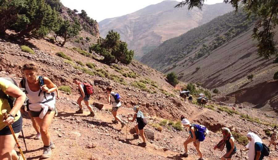 Marrakech: Ourika Valley waterfalls with guide& Berber lunch - What this tour is best for (and who should reconsider)