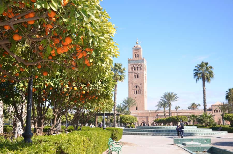 Marrakech: Palace, Museum, Madrasa & Medina Highlights Tour - Dar El Bacha Museum: The Palace Feeling, Without the Rush
