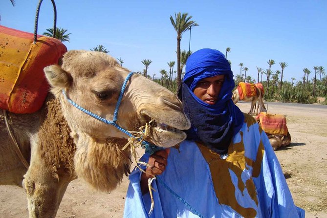 Marrakech Palmeraie: Camel Ride at Sunset - Why Marrakech Palmeraie at Sunset Works So Well