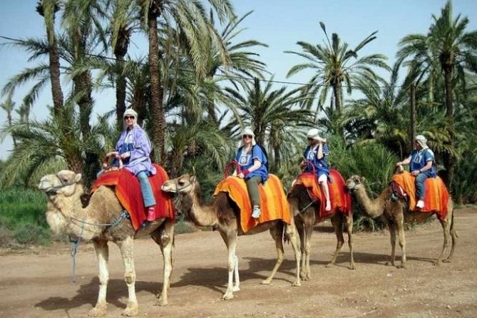 Marrakech Palmeraie: Camel Ride at Sunset - Photography, Mint Tea, and the Small Moroccan Touches
