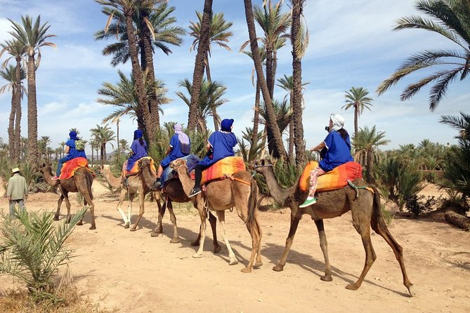 Marrakech Palmeraie: Camel Ride at Sunset - Price and Value: What $20 Really Buys in Marrakech