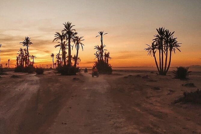 Marrakech Palmeraie: Camel Ride at Sunset - Who This Camel Ride Suits Best (and Who Should Rethink It)