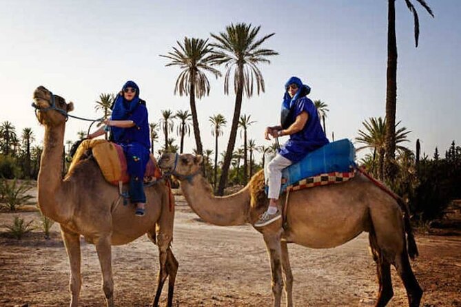 Marrakech Palmeraie: Camel Ride at Sunset - Practical Tips Before You Go (So You Enjoy It More)