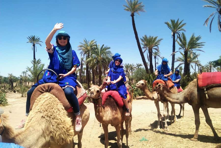 Marrakech Palmeraie: Camel Ride & Quad Bike Experience - Getting from your riad to the Palmeraie: pickup and timing reality