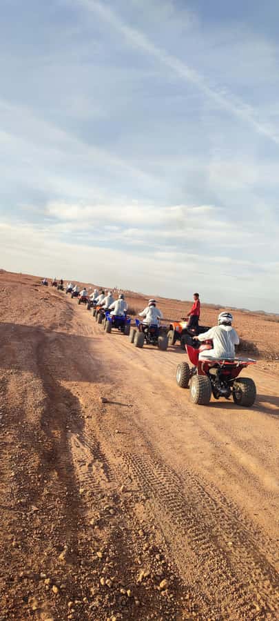 Marrakech: Palmeraie Private Quad Bike Experience - Included food: olives, olive oil, honey, and what to expect