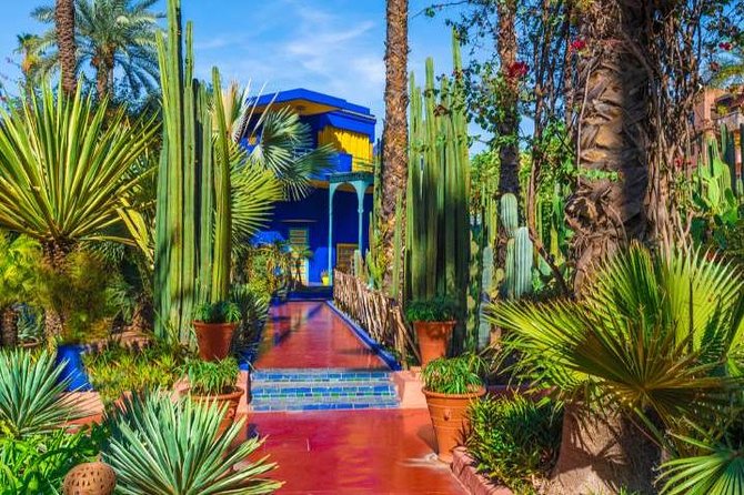 Marrakech: Private Guided Half-Day City Tour - A Private Half-Day in Marrakech: What You’re Paying For