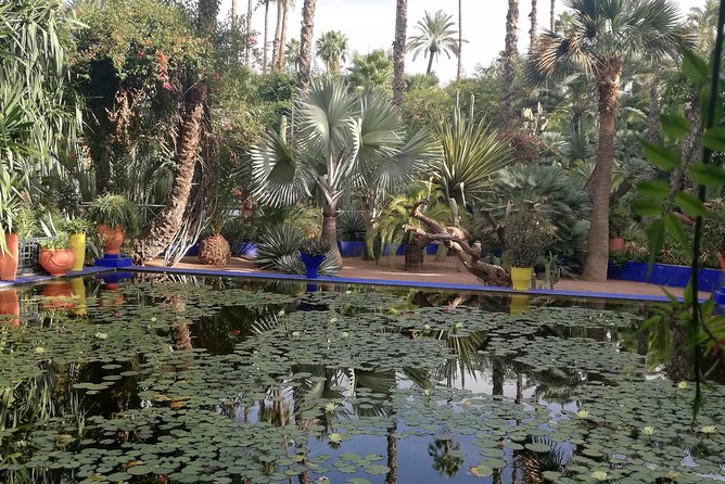 Marrakech: Private Guided Half-Day City Tour - Mellah, Jemaa el-Fnaa, and the Souks: Seeing Marrakech as a Living Place