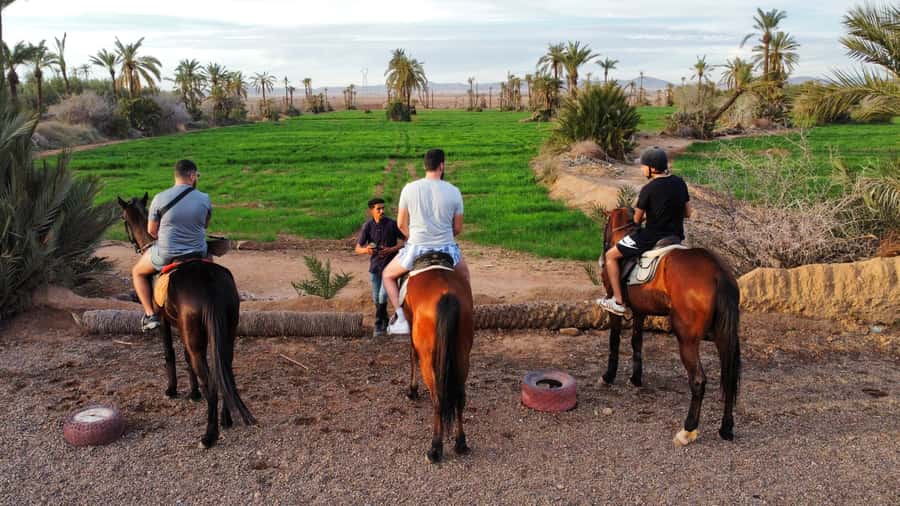Marrakech: Private Horseback Tour in the Palm Grove with Tea - Why this Palmeraie horseback tour is worth your time