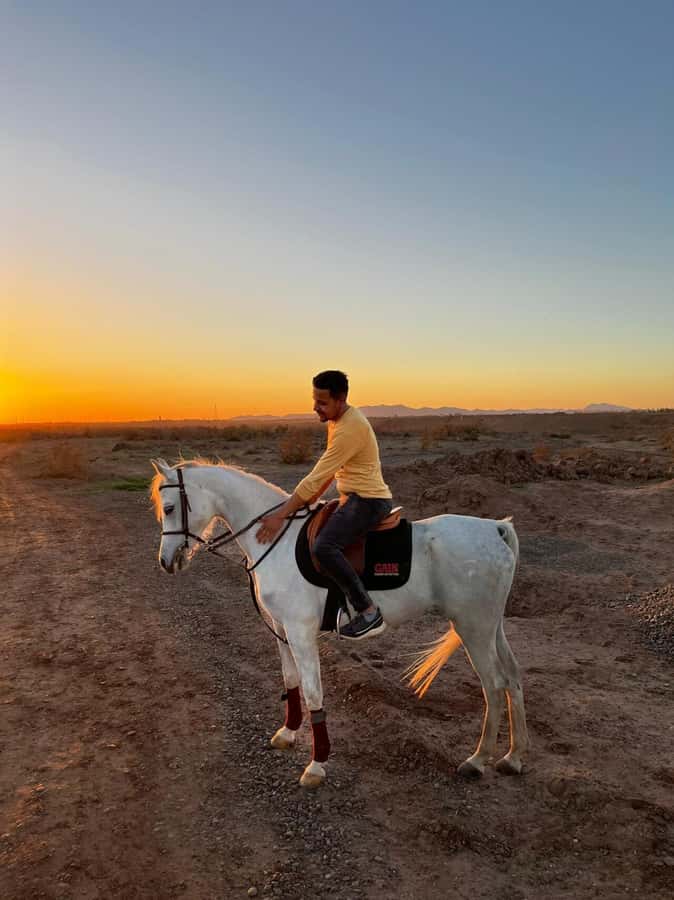 Marrakech: Private Horseback Tour in the Palm Grove with Tea - On horseback in the Palmeraie: what the guide does with beginners and pros