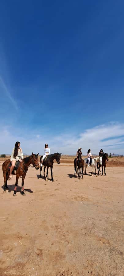 Marrakech: Private Horseback Tour in the Palm Grove with Tea - Pace, control, and safety: what to do if you feel nervous