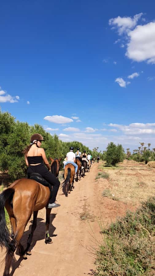 Marrakech: Private Horseback Tour in the Palm Grove with Tea - The ride logistics: Medina pickup, a short van hop, then palms