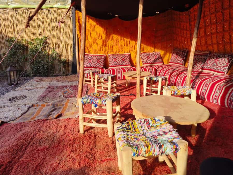 Marrakech: Quad Bike Tour to Palm Oasis and Jbilat Desert - Two Hours of Quads: Palmeraie Palms, Jbilat Desert Tracks, and Terrain Variety