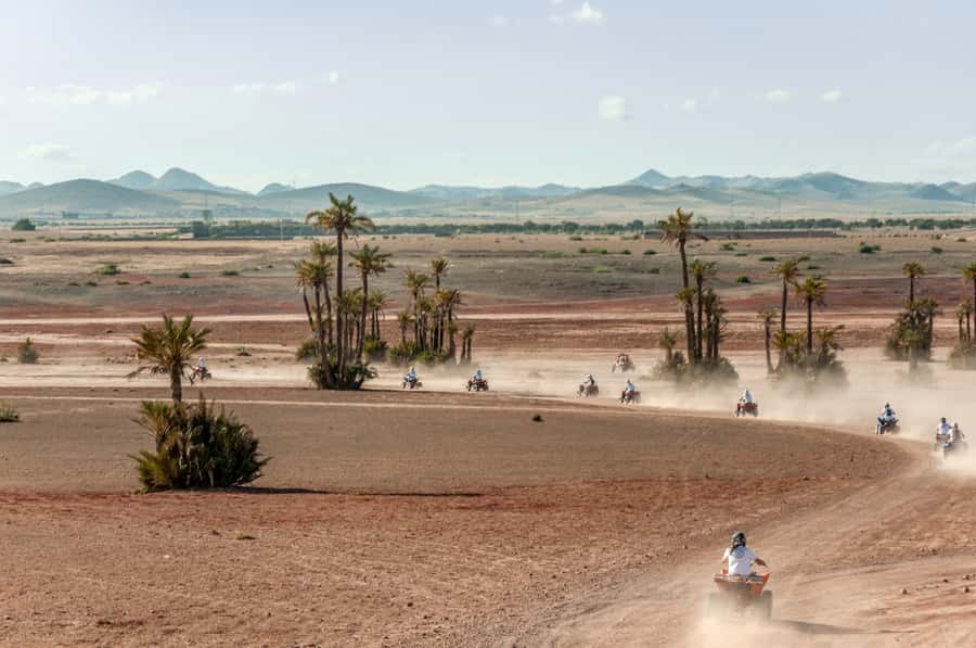 Marrakech: Quad Tour in Jbilets Desert with Palm Grove - Palmeraie Photo Stop and the 5-Minute Practice Run