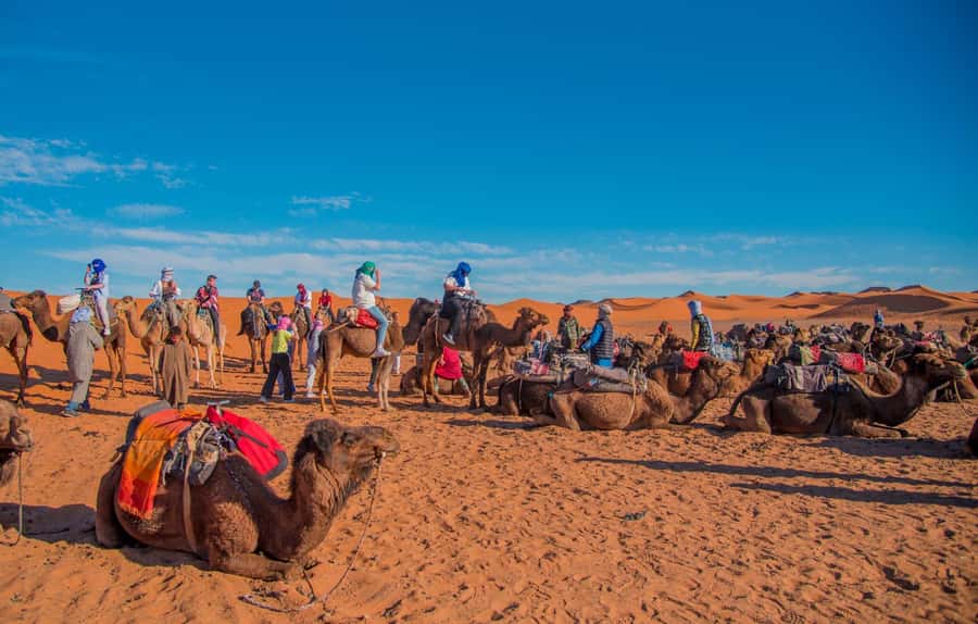 Marrakech to Fes: 3-Day Merzouga Desert Camel & Sandboarding - Quick take on this Marrakech to Fes desert tour