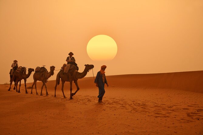 Marrakech to Merzouga Desert 3-Day via the High Atlas Mountains - Erg Chebbi to Merzouga dunes: camel ride, sandboarding, and silence