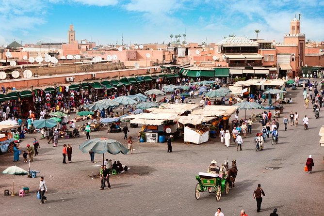 Marrakesh Agafay Desert Camel Ride, with traditional dinner show - Key highlights you’ll notice right away