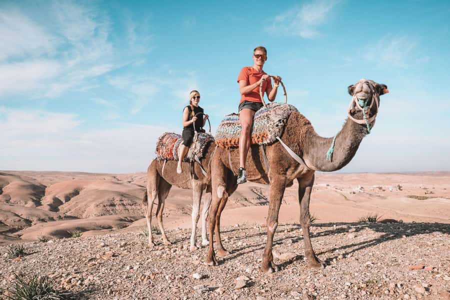Marrakesh: Desert & Mountain Tour with Camel Ride & Lunch - Why this Marrakesh desert and Atlas trip is such good value
