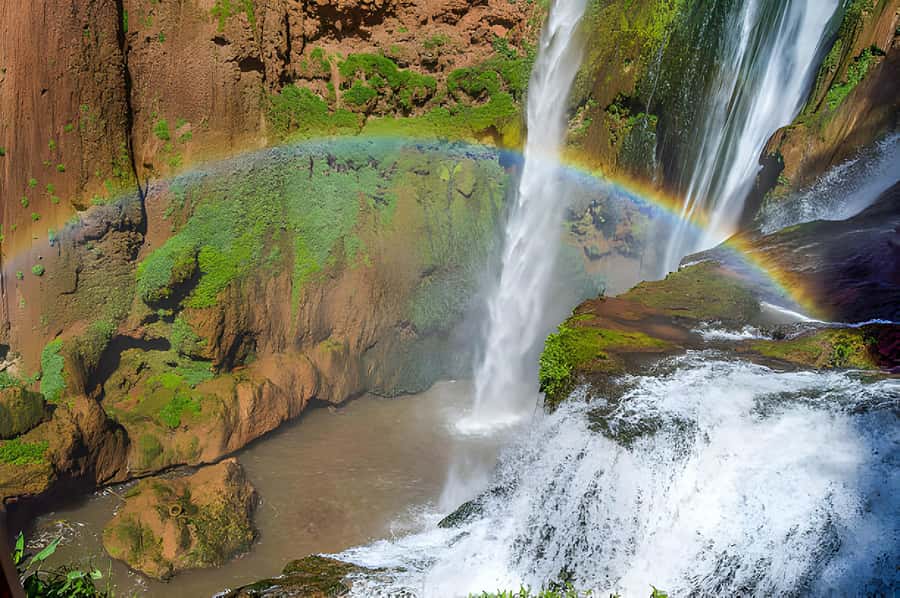 Marrakesh: Ouzoud Waterfalls Trip with Hike & Boat Option - The local guide makes the difference: Hamid (Tarzan), languages, and smarter photo stops