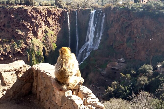 Ouzoud Waterfalls Full Day Trip From Marrakech - Down to Ouzoud: Walking Paths, Viewpoints, and Realistic Effort