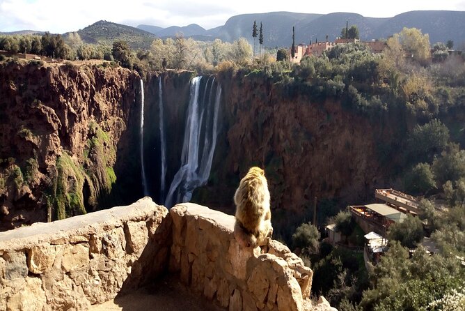 Ouzoud Waterfalls Full Day Trip From Marrakech - Lunch at the Falls: Overlooking Views, But Budget for It