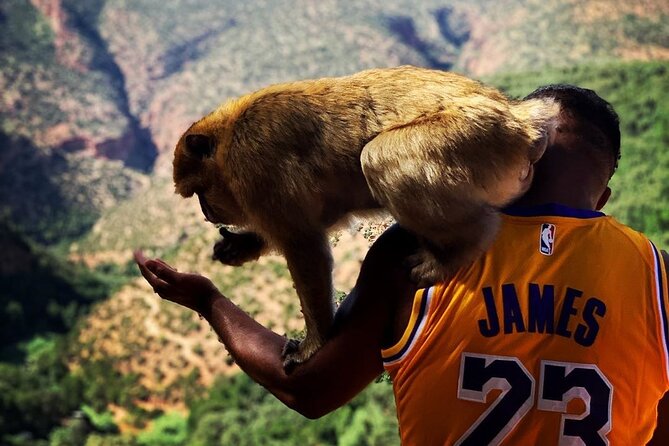Ouzoud Waterfalls Full Day Trip From Marrakech - Boat Ride and Monkeys: The Add-Ons That Make People Smile