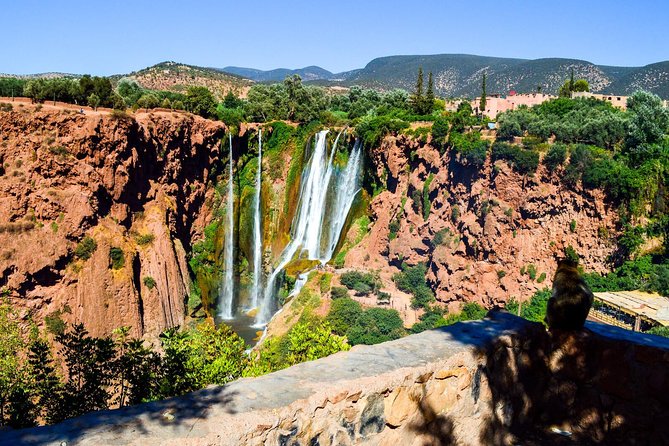 Ouzoud Waterfalls Guided Hike and Boat Trip from Marrakech - Monkeys and Crowds: enjoying wildlife without losing your focus