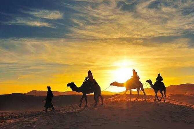 Quad Bike & Camel Ride & Dinner Show In Agafay Desert - The Extra Stops: Argan Oil (and Watch Outs) Along the Route