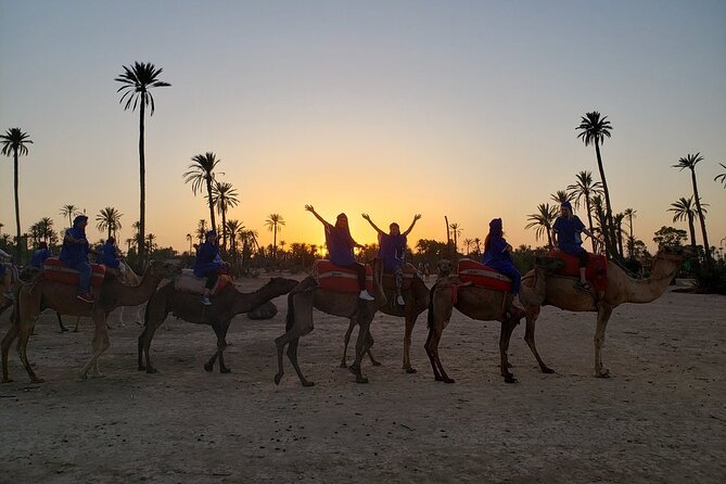 Sunset Camel Ride in the Palm Grove of Marrakech - A Classic Marrakech Evening Plan in the Palmeraie