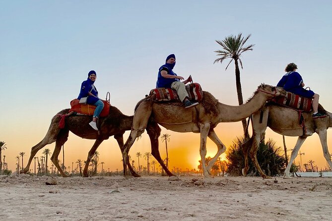 Sunset Camel Ride in the Palm Grove of Marrakech - Hotel Pickup to Berber House: The Tea Part That Actually Matters