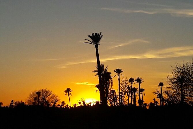 Sunset Camel Ride in the Palm Grove of Marrakech - The Real Value of the Price (and What’s Included)