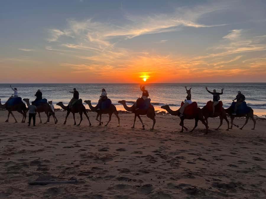 Tangier: Sunset, Tea, Sweets, Camel Ride, and Hercules Caves - The camel ride on the beach: what makes it better than a quick photo