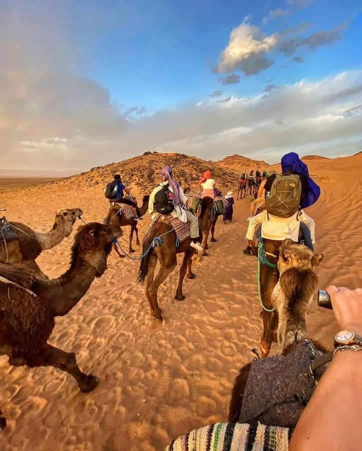 Zagora Desert: 2-Day 1-Night Desert Expedition to Remember - Why this 2-day Zagora trip hits the sweet spot
