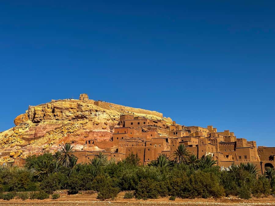 Zagora Desert: 2-Day 1-Night Desert Expedition to Remember - What to pack so the camel ride and camp night don’t ruin it