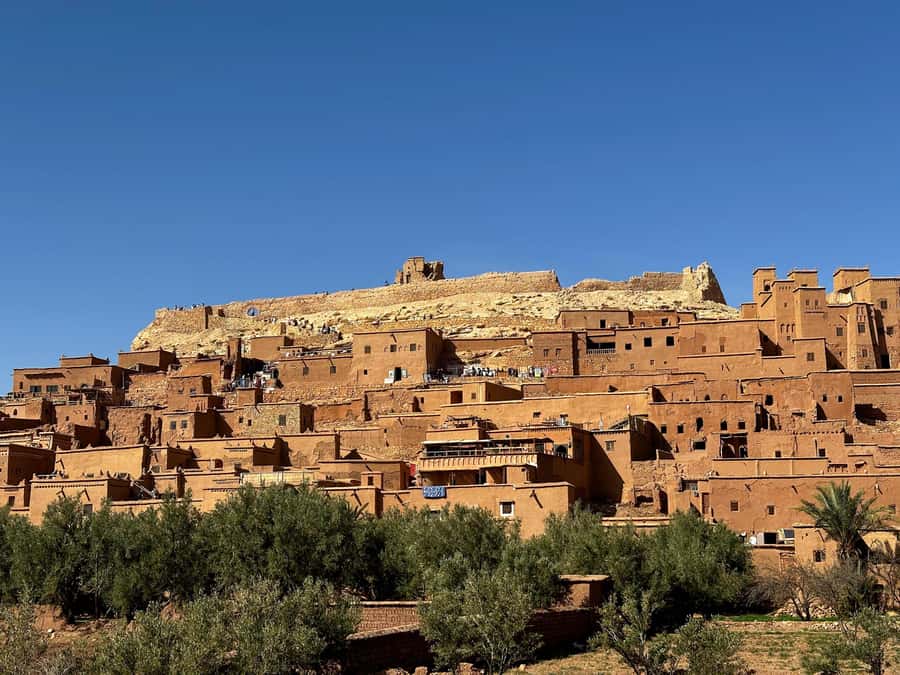 Zagora Desert: 2-Day 1-Night Desert Expedition to Remember - Who should book this Zagora 2-day expedition